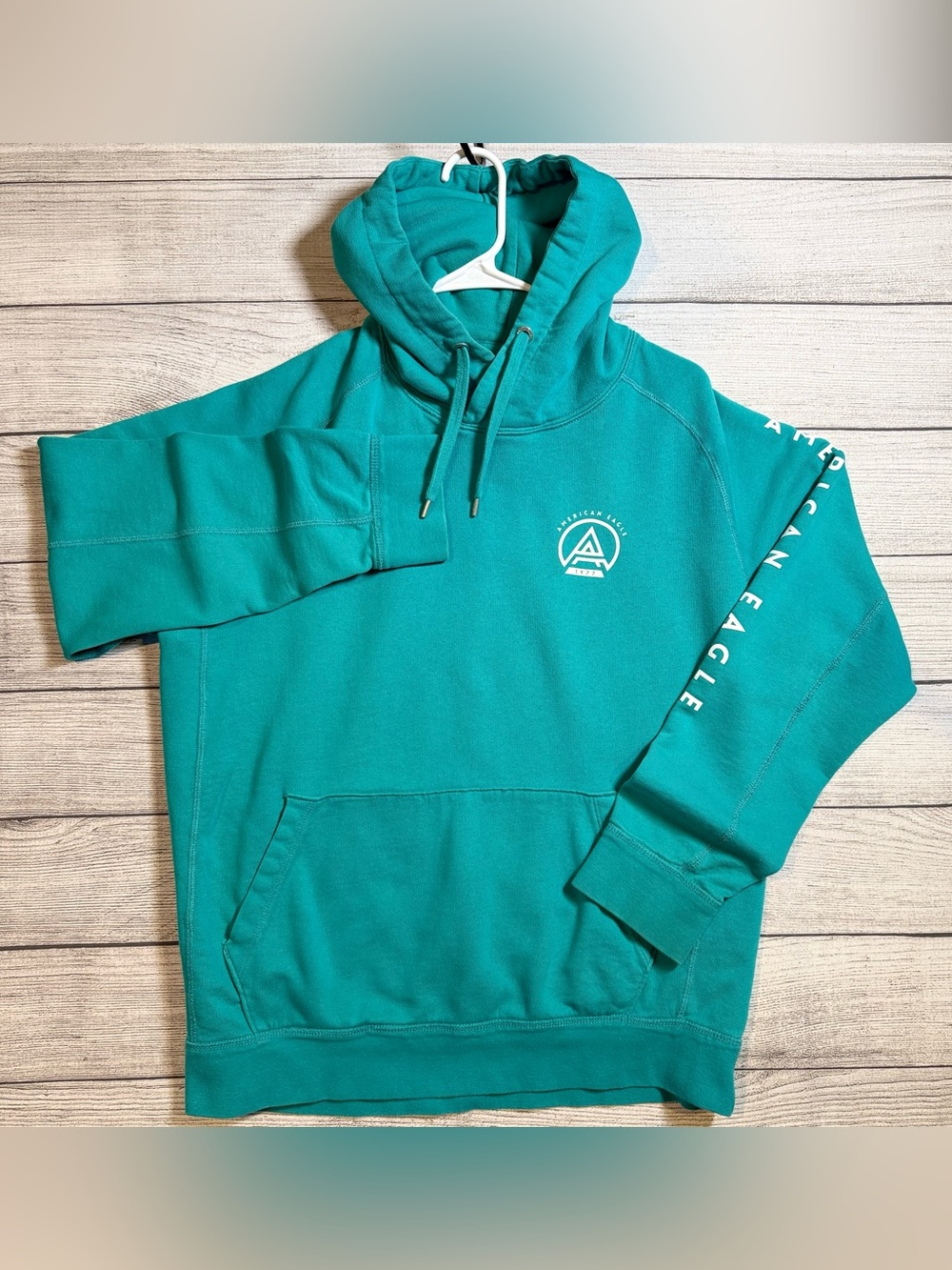 American Eagle Outfitters Teal Hooded Pullover Sweatshirt - Men's